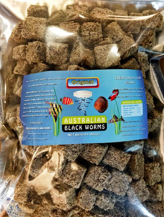 Australian Black Worms Cube